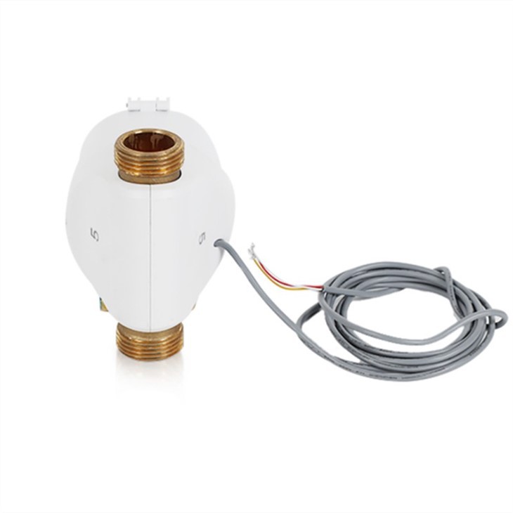 Domestic Water Flow Meter
